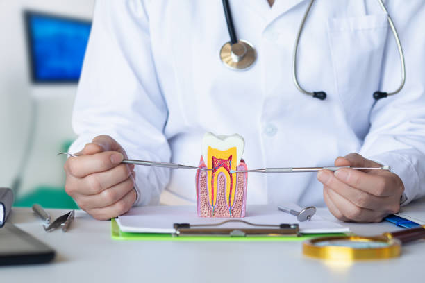 Best Emergency Root Canal Treatment in San Bruno, CA